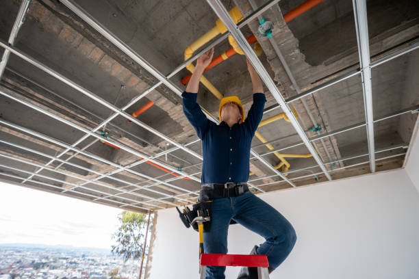 Best Plumbing Inspection Services  in Moosup, CT